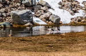 IMG_7489